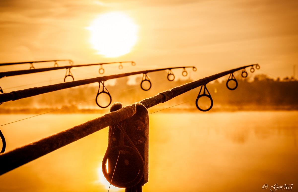 Top 7 - Rasarituri de soare pe balta, la pescuit. Pentru ele trebuie sa te trezesti dimineata!